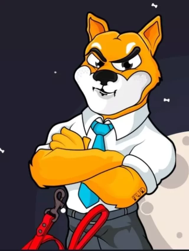 cropped-shiba-inu-coin.webp