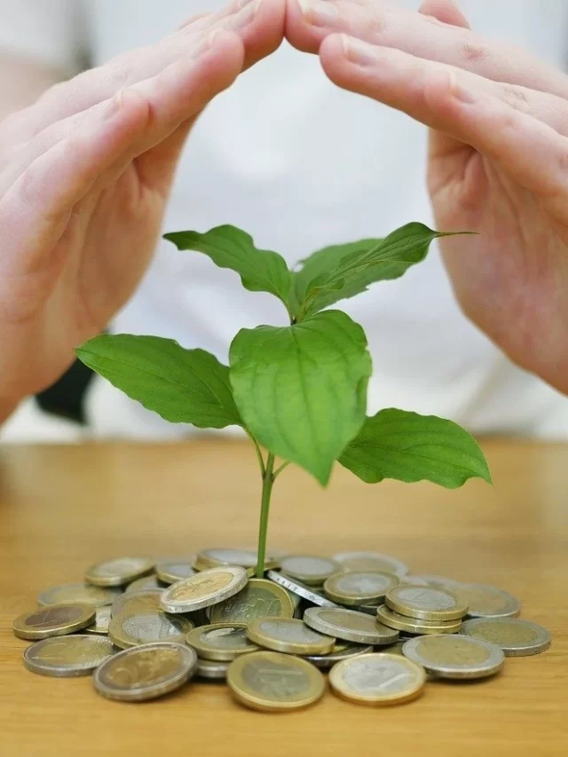 म्युच्युअल फंडातील नवशिक्याने कोणत्या फंडापासून सुरुवात करावी?